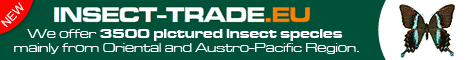 banner_insect_trade_eu.gif