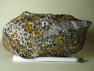 Rare meteorite available