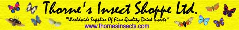 Thornes_Insect_Shoppe_Ltd_Banner.jpg