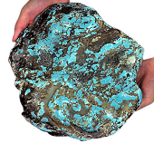 Rare turquoise gemstone mineral