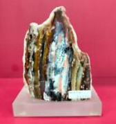 12-14 Petrified Wood Slices - AA Quality